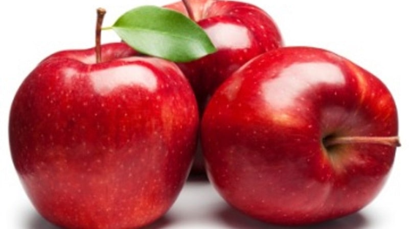 قیمت سیب صادراتی ارومیه با کیفیت ارزان + خرید عمده